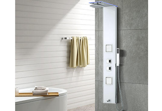 B197 Stainless Steel Thermostatic Shower